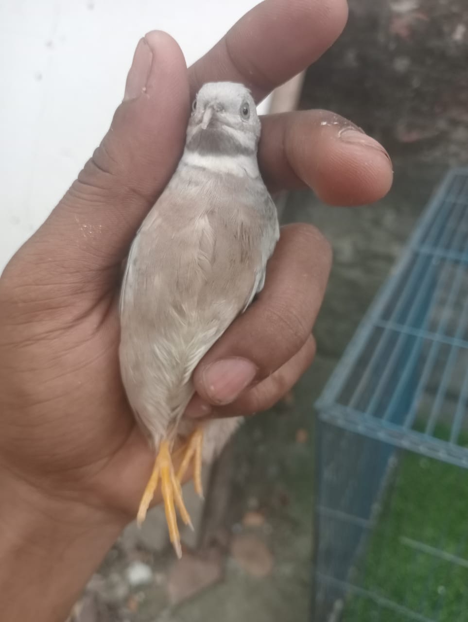 448157835_436171942648314_3741175702470105921_n